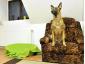 Ringstar Pet Hotel - Hotel animale sector 1, Bucuresti