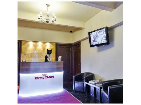 Ringstar Pet Hotel - Hotel animale sector 1, Bucuresti