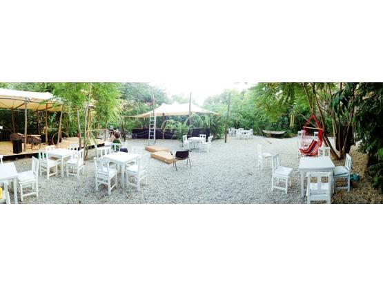 Gradina EDEN - Bar / Club / Cafenea sector 1, Bucuresti