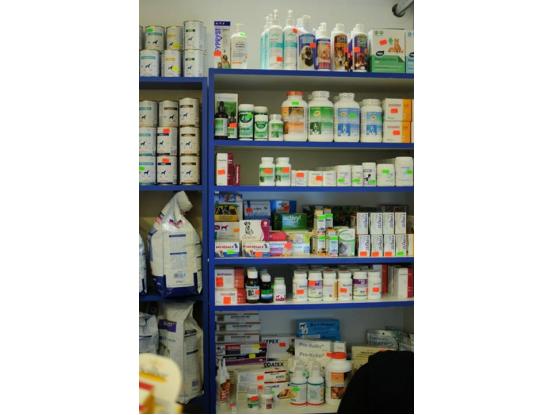 Picovet - Cabinet veterinar sector 1, Bucuresti