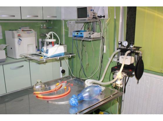 Iraida Vet - Cabinet veterinar sector 3, Bucuresti