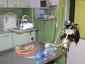 Iraida Vet - Cabinet veterinar sector 3, Bucuresti