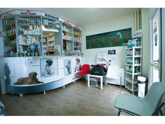 Bernie Exim - Cabinet veterinar sector 6, Bucuresti