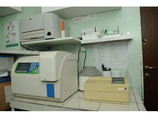 Picovet - Cabinet veterinar sector 1, Bucuresti