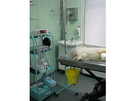 TrickVet Tineretului - Cabinet veterinar sector 4, Bucuresti