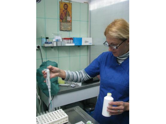 TrickVet Berceni - Cabinet veterinar sector 4, Bucuresti