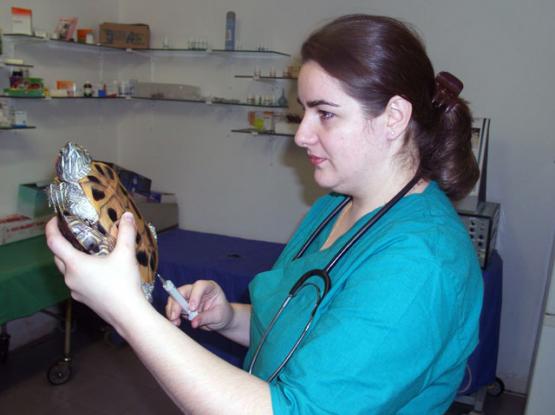 TrickVet Berceni - Cabinet veterinar sector 4, Bucuresti