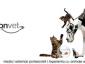 FalconVet - Cabinet veterinar sector 2, Bucuresti