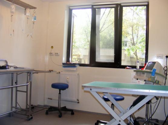 Novavet - Cabinet veterinar sector 4, Bucuresti