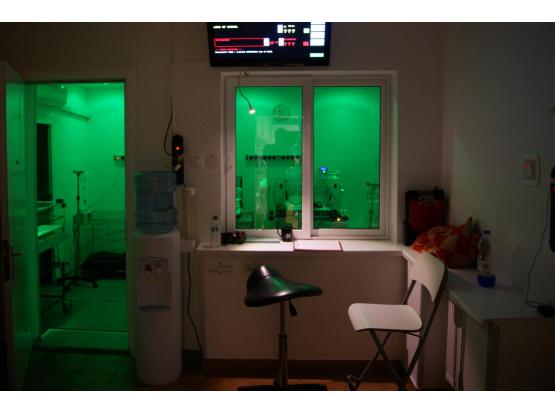 Speedvet - Cabinet veterinar sector 5, Bucuresti