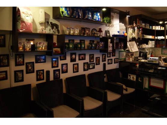 Speedvet - Cabinet veterinar sector 5, Bucuresti