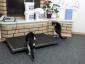 Family Vet Care - Cabinet veterinar Mogosoaia, Ilfov