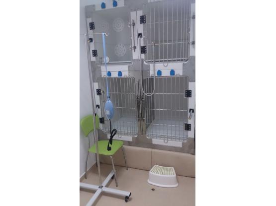 MDP Vet - Cabinet veterinar sector 3, Bucuresti